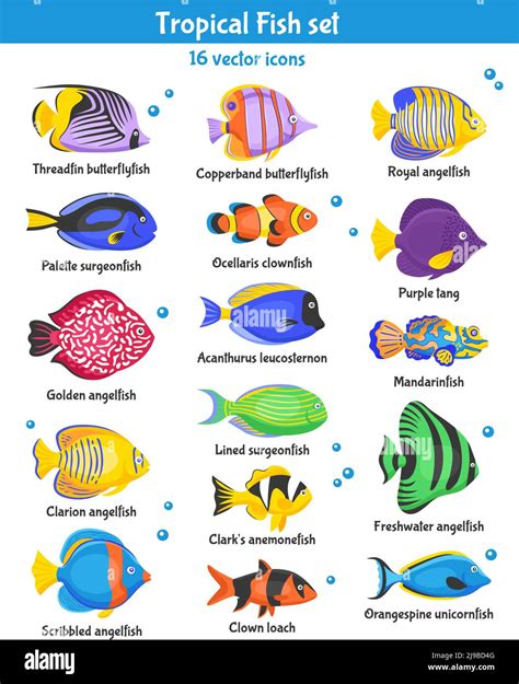 types  fish  names tropical fish types names