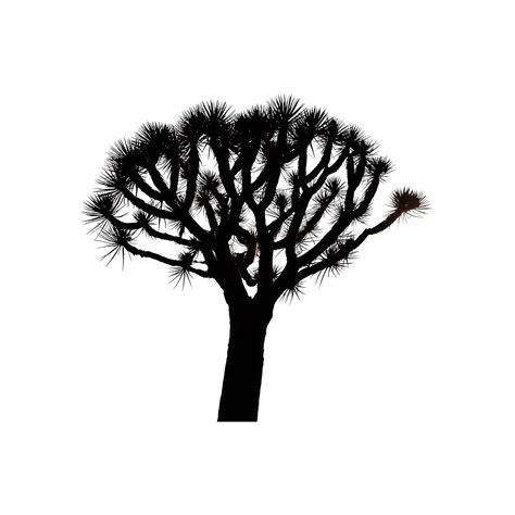desert tree 4