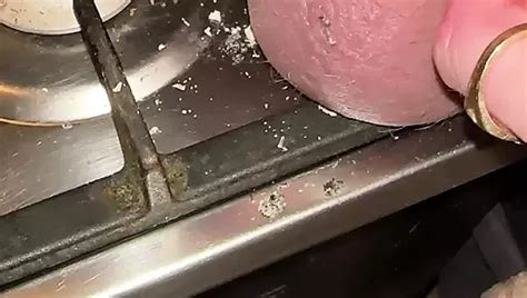 Burning Acorn With Cigarette And Fire Part Gay Harness Porn Feat Cbt Outdoor Slave Xhamster