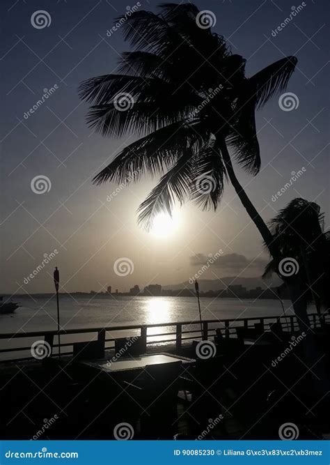 Margarita Island, Beach, Island, Sunset Stock Photo - Image of tropical
