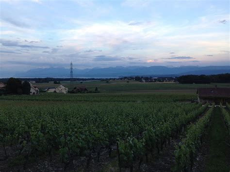 auberge de duillier hotel reviews  tripadvisor