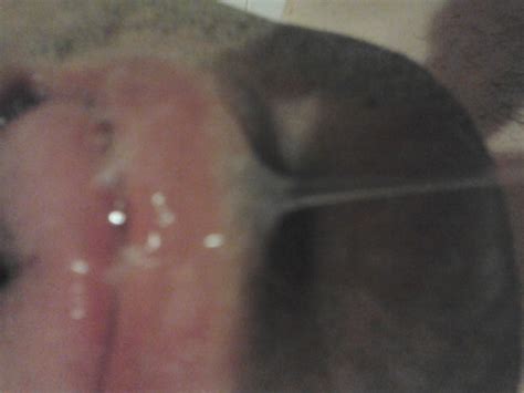 Tributo X Voi Porn Pictures XXX Photos Sex Images PICTOA