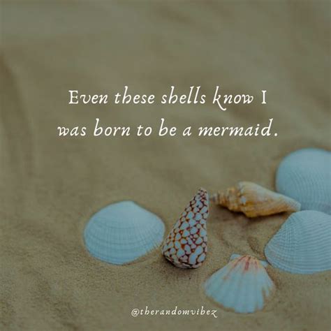 Seashell Quotes To Refresh Your Beach Memories The Random Vibez