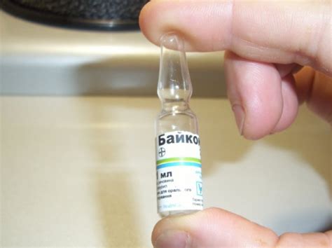 "Байкокс": инструкция по применению препарата для цыплят