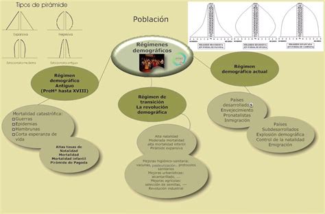 Comportamientos Demogr Ficos Historias Geograf A Y Otras Artes