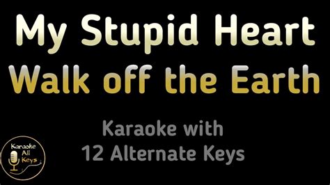 Walk Off The Earth My Stupid Heart Karaoke Instrumental Lower Higher