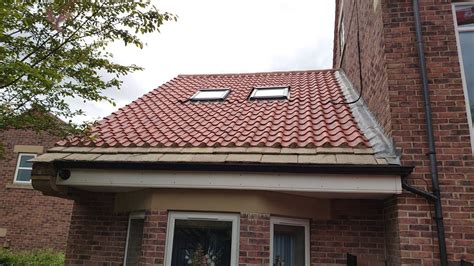 Moss Invasion Alert How To Rescue Your Doncaster Roof Blue Whale Sws
