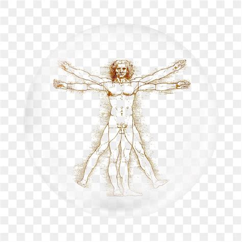 Naked Man PNG Images Free Photos PNG Stickers Wallpapers Backgrounds Rawpixel