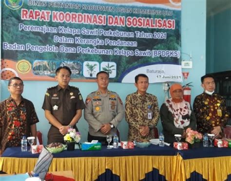 Di Duga Kasus Korupsi Program Peremajaan Sawit Rakyat Psr Mondar