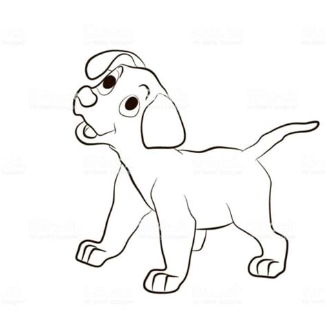 Cachorro Para Colorir 60 Desenhos Adoráveis Para Imprimir