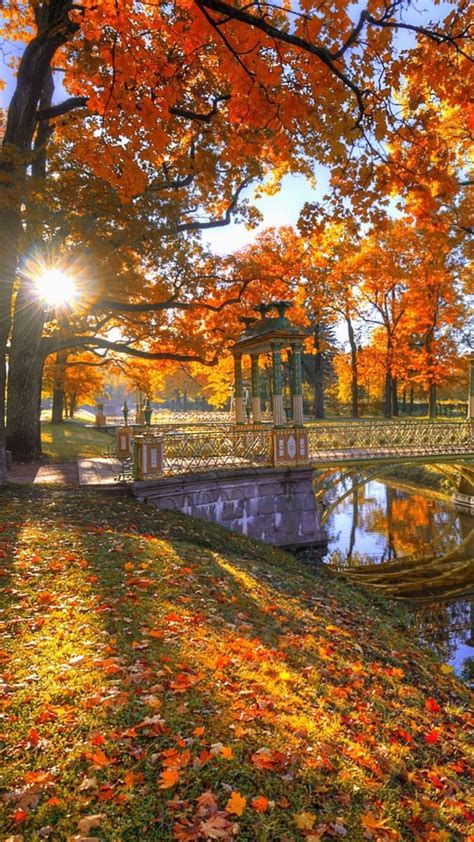 Bridge Autumn Park Wallpapers - Wallpaper Cave