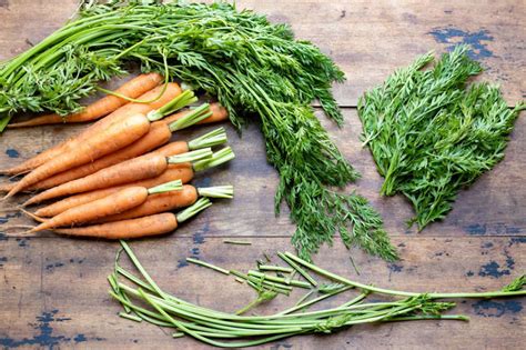 Recettes fanes de carottes ne négligez plus ce produit précieux