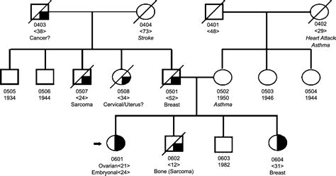 Figure From P Therapy In A Patient With Li Fraumeni Syndrome