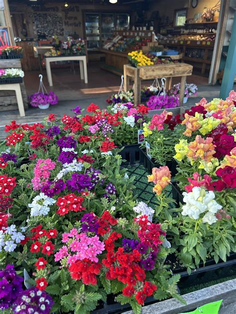 Dot Local - Dot Local added a new photo — at Getoutside.