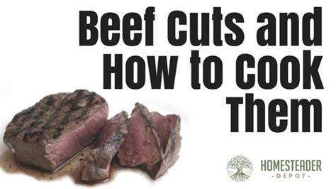 Beef Cuts and How to Cook Them (Infographic) - Homesteader ...