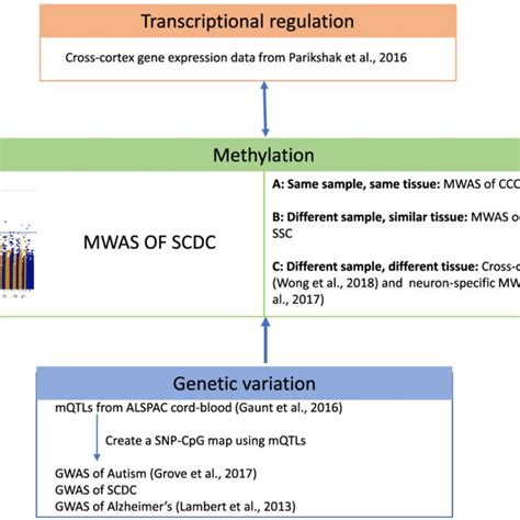 Schematic diagram of the study design. Schematic diagram of the study ...