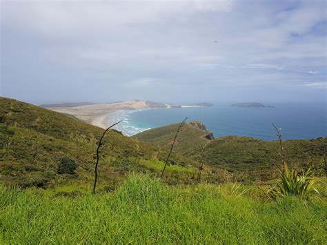 Things To Do In Kaitaia | localista