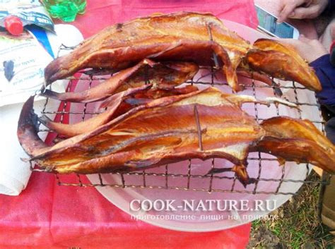 Щука копченая - Готовим на природе