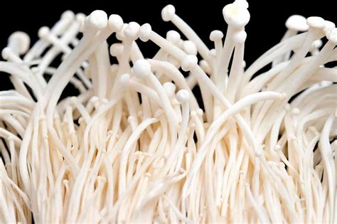 Китайские грибы Эноки (63 фото)