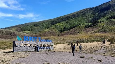 Menengok Wisata Bukit Teletubbies Di Indonesia Travel Tempo Co