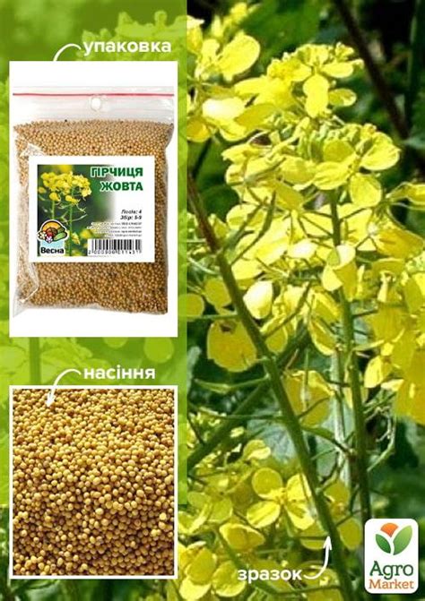 Горчица желтая ТМ "Весна" 100г купить почтой в Одессе, Киеве, Украине ...