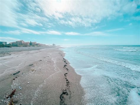 turtle beach florida artofit