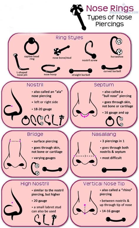 Different Types Of Nose Piercings Names