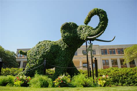 Campus Visitors Guide The University Of Alabama