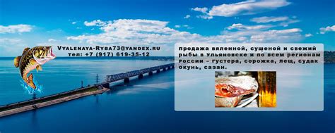 Рыба вяленая и сушена - Vyalenaya-Ryba73 | Продажа вяленной, сушеной и ...