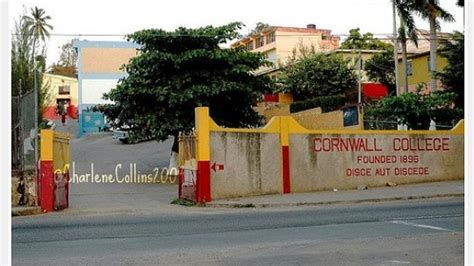 Cornwall College Students Hauled Off To Police Station | RJR News ...