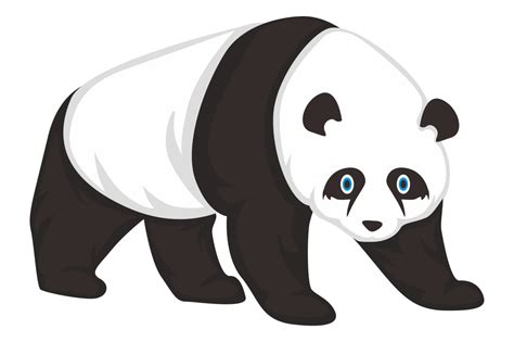 Panda Desenho Fofo Png - 6