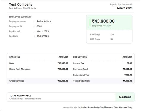 Salary Slip Components Understanding Salary Slip Format Payslip