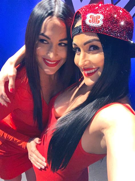 Brie Bella and Nikki Bella : r/LadiesOfWrestling