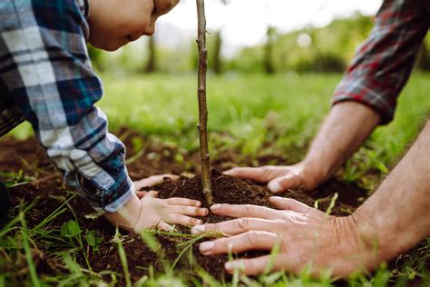 Cu Les Son Los Beneficios De La Horticultura Horticultura