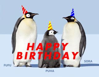 Happy Birthday Animated Penguins Happy Dance GIFDB