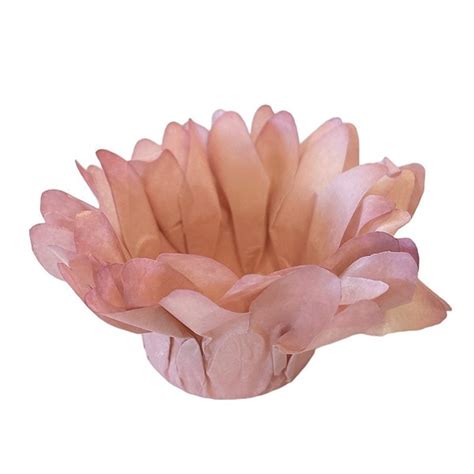 Forminha Para Doces Finos Madri Nude Unidades Decora Doces Rizzo Loja De