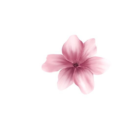 Cherry Jones Transparent at Nettie Badger blog