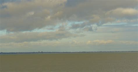 Daisy S Diary Happy Birthday Archie Babe