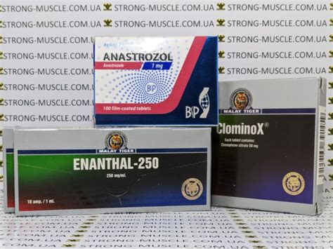 Тестостерон Энантат Соло курс на массу - Strong-Muscle