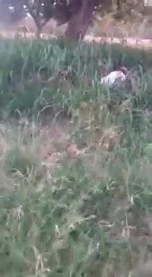 Vids Hardcore Hardcore Porn XHamster