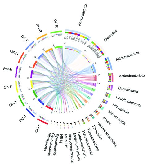 The Relative Abundance Of Microorganisms On Phylum And Genus Levels