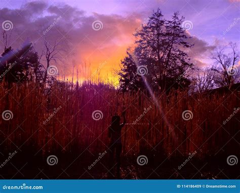 Pretty Sky Stock Image Image Of Sunset Late Night 114186409