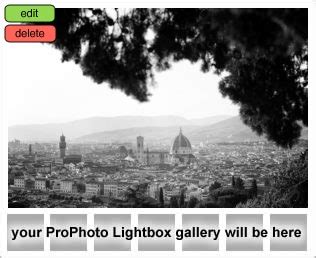 Same Sex Photography Wedding Proposal In Florence