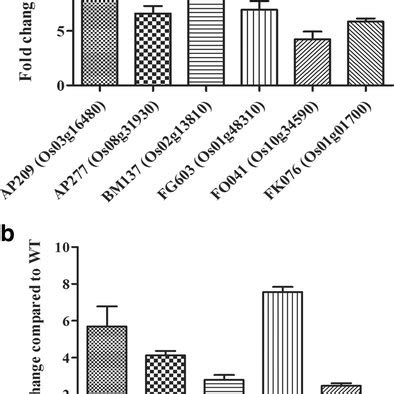 Overexpression Of Putative E Ligase Genes In Each Fox Hunting Line By