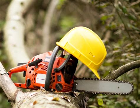 How To Choose The Best Chain For Your Chainsaw A Complete Guide