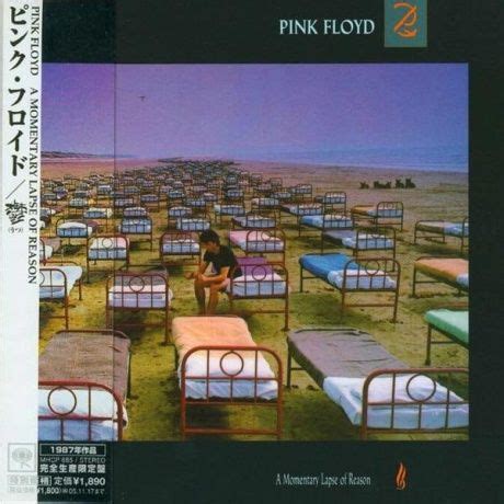 CD PINK FLOYD A Momentary Lapse Of Reason CD купить по низким ценам