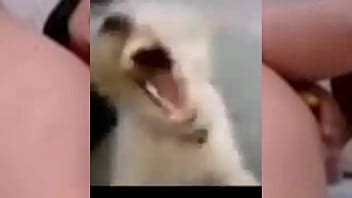 Para los señores cachondos XVIDEOS