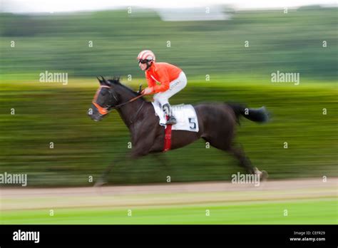 Jockey On Race Horse Galloping Stock Photo Alamy