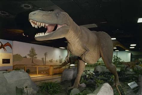 Dinosaur Walk Museum - Pigeon Forge, Tennessee | Pigeon forge tennessee ...