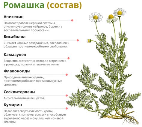 Как Сделать Очистительную Клизму? + ТОП-4 Популярных Клизм